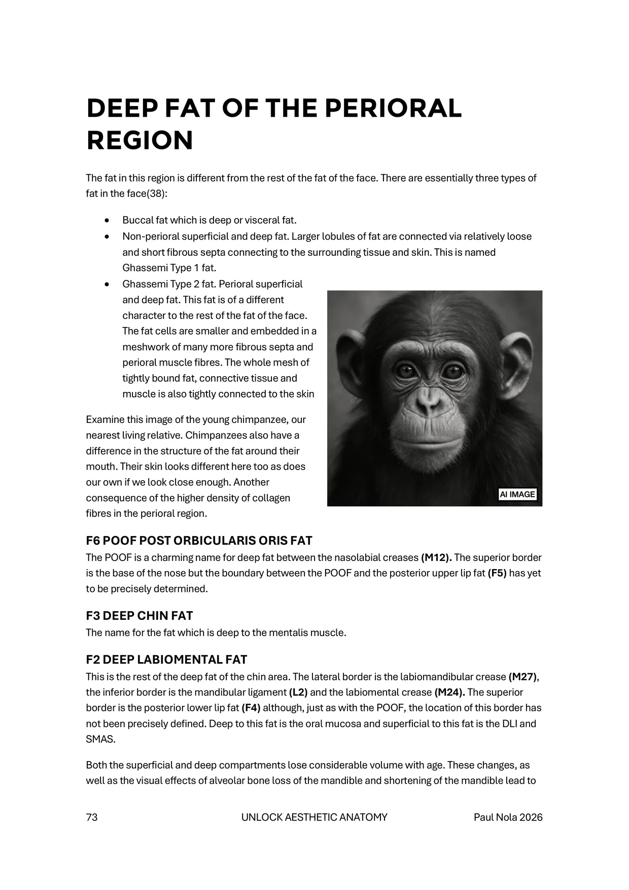 Sample page 4 of 6 &mdash; deep fat of the perioral region, with the three types of facial fat